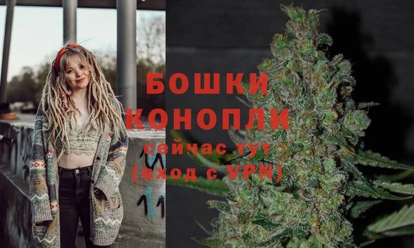 spice Баксан