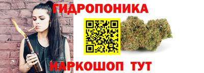 mdpv Обнинск