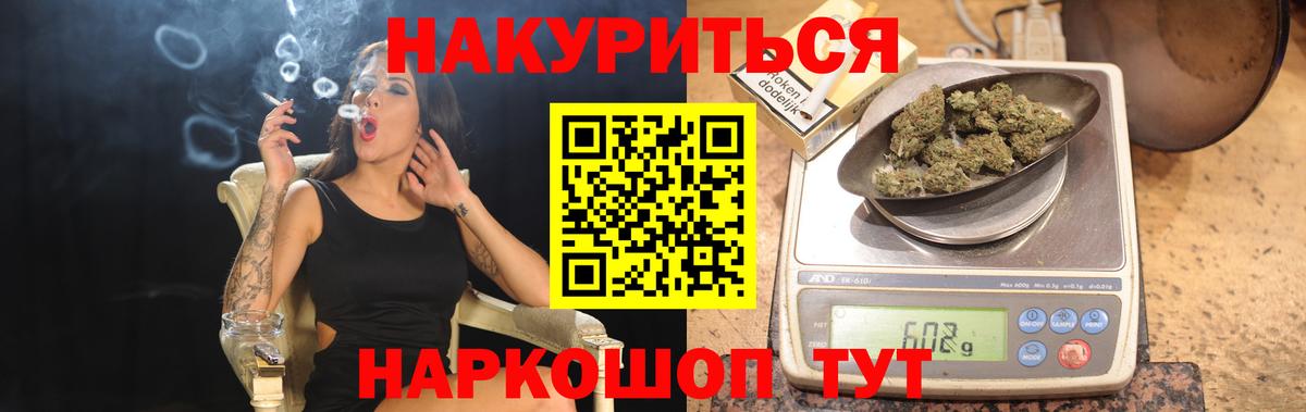 Конопля план Георгиевск
